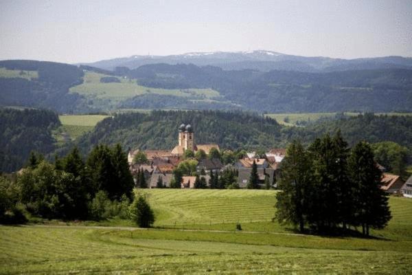 Gastehaus Wald Und See Titisee-Neustadt Exterior photo